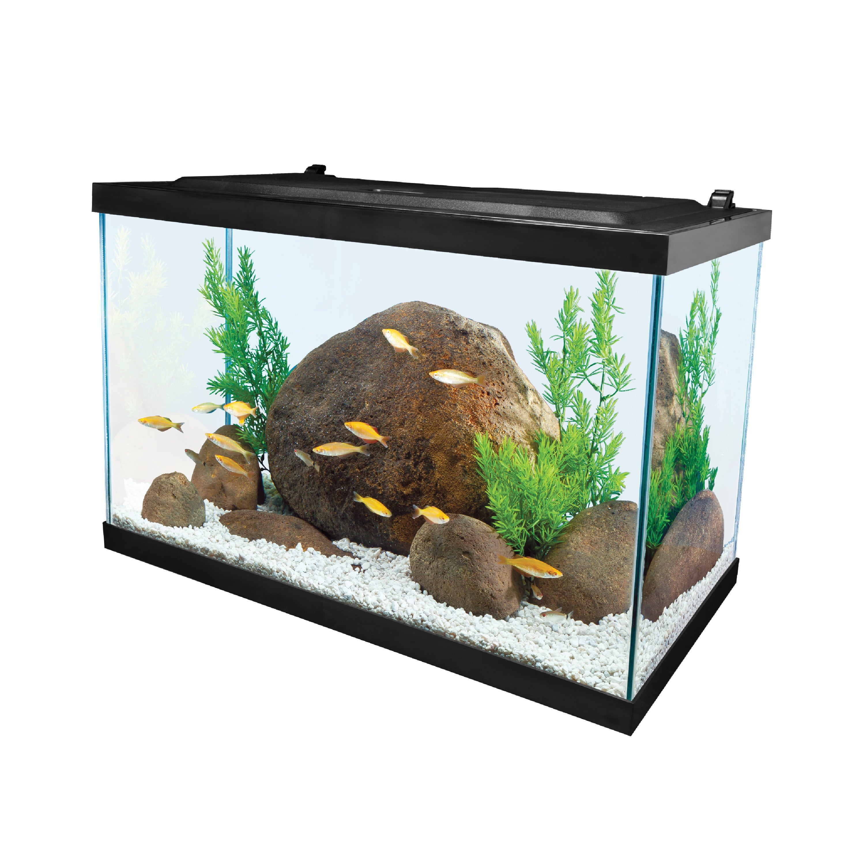 Tetra 20 Gal Glass LED Aquarium Kit