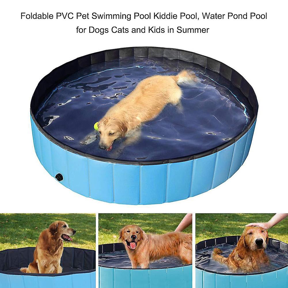 1 X Pet Pool Blue 80x20cm