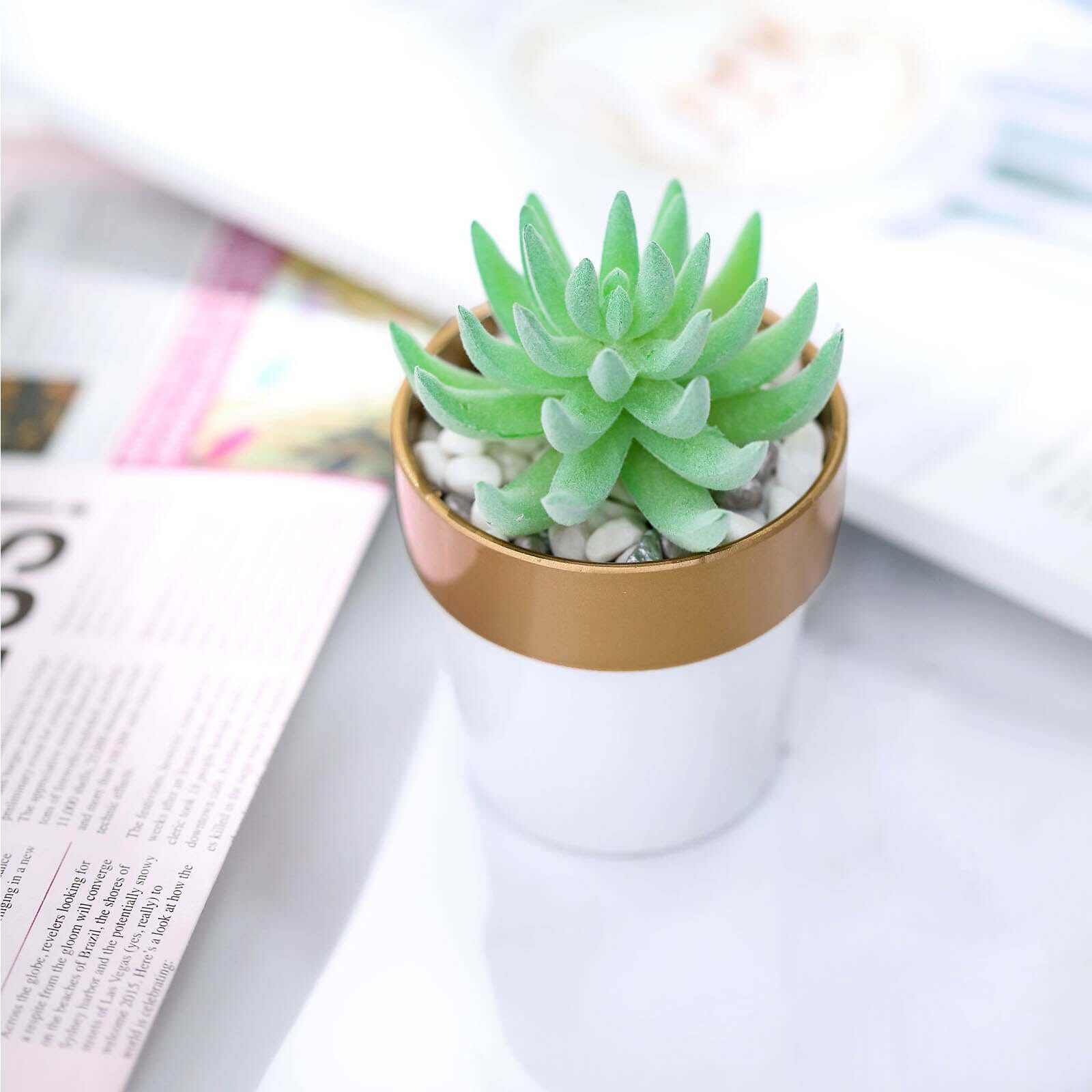 3 Pack White Gold Rimmed Small Flower Plant Pots, Indoor Decorative Planters 3