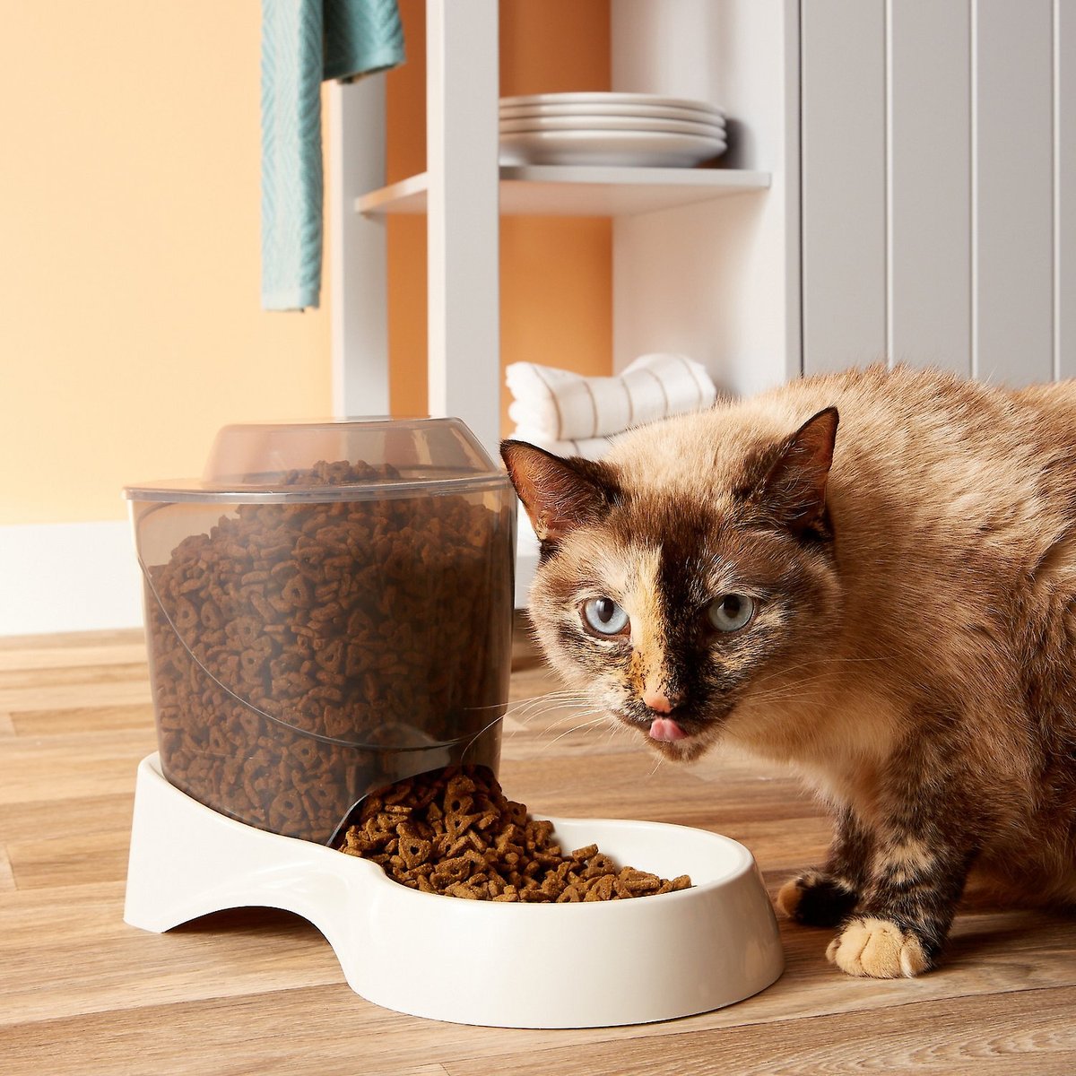 Van Ness Automatic Dog and Cat Feeder