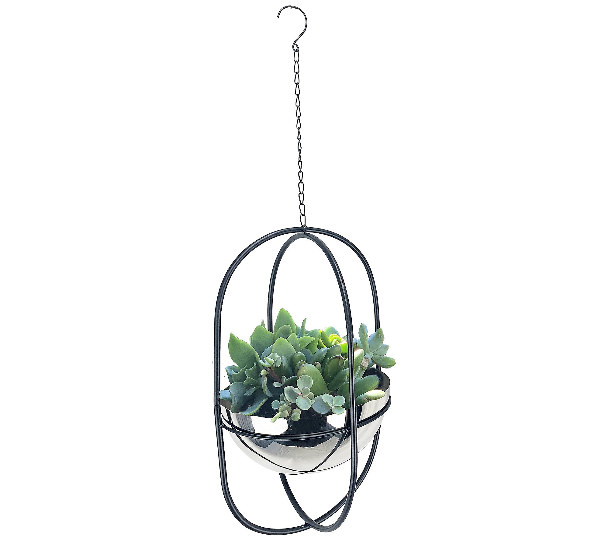 RCS Hanging Double Oval Frame Planters - Set of2