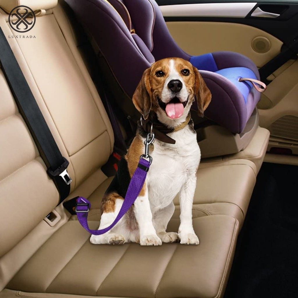 Luxtrada (2 Pack) Adjustable Car Safety Seatbelt for Cat and Dog with Swivel Clip for Large Medium Small Dogs