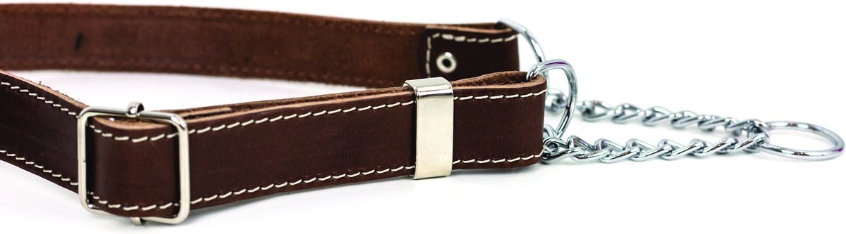 Euro-Dog Luxury Leather Martingale Dog Collar