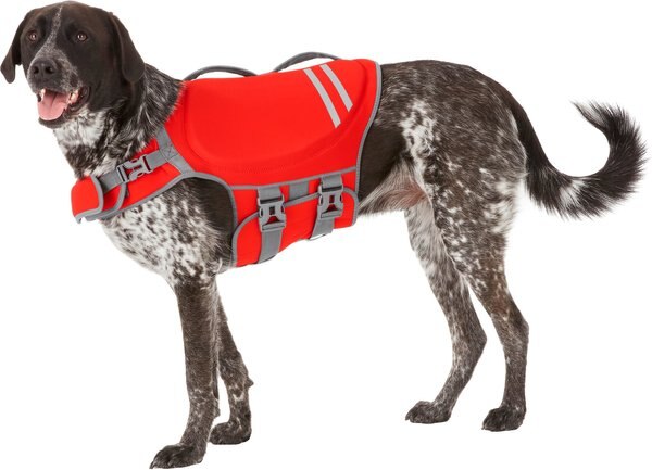 Frisco Neoprene Dog Life Jacket