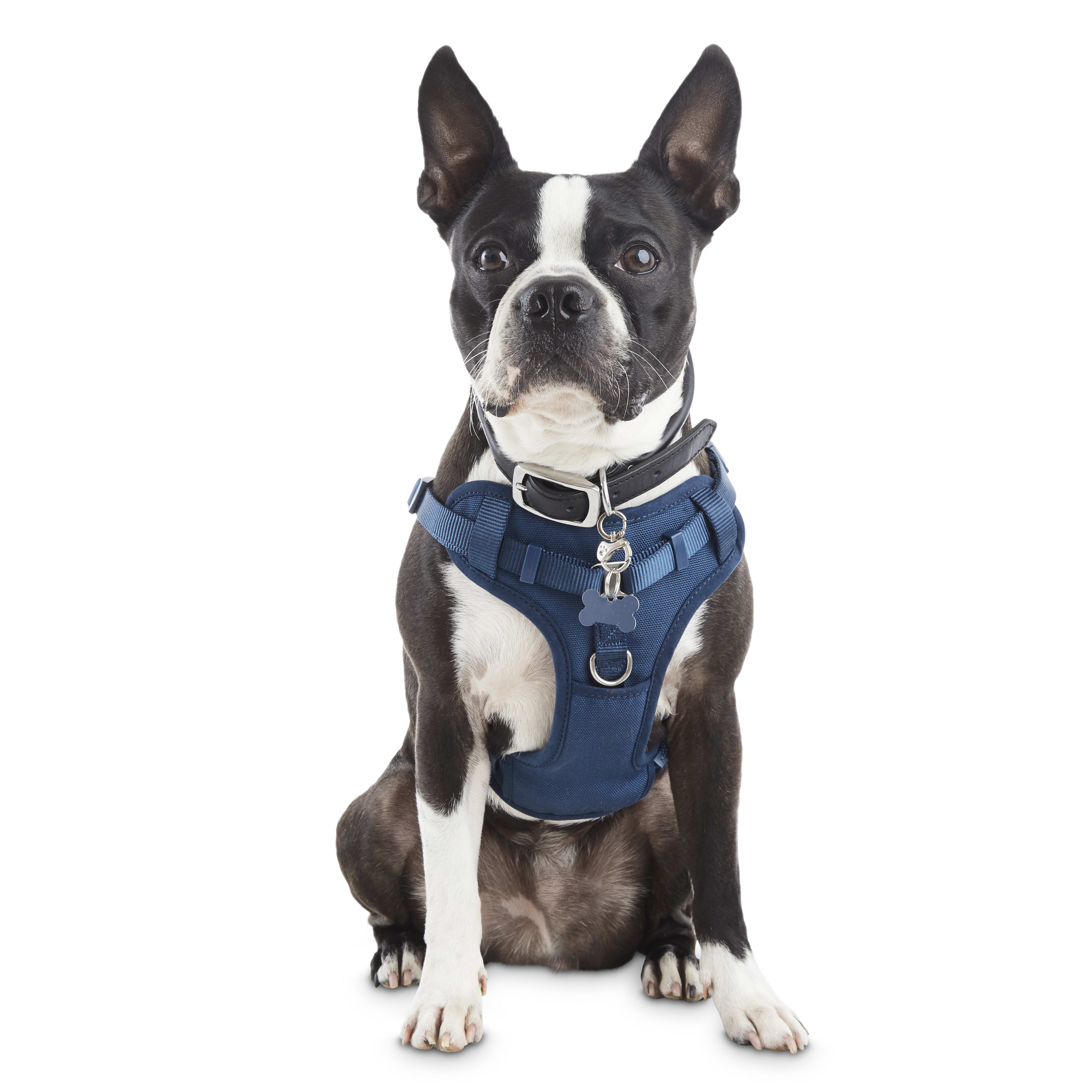 Good2Go Navy Padded Step-In Dog Harness， X-Small