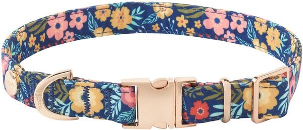 Frisco Fashion Collar， Tropical Floral