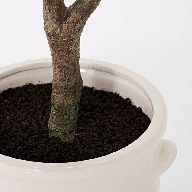 Artificial Olive Tree In Ceramic Pot - Threshold Designed With Studio Mcgee