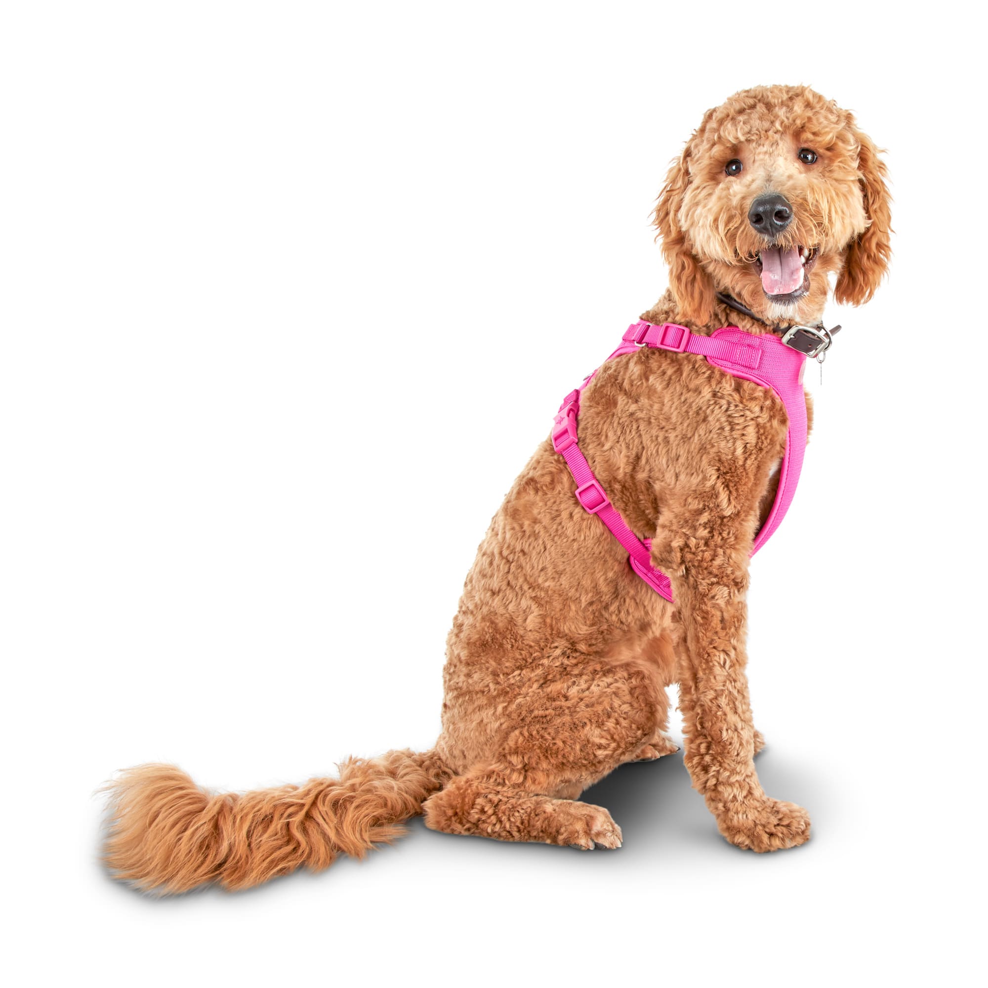 Good2Go Pink Big Dog Harness， XX-Large/XXX-Large