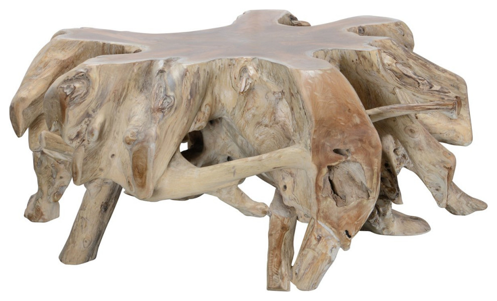 Large Teak Root Coffee Table   Transitional   Coffee Tables   by Terra Nova Designs  Inc.  Houzz