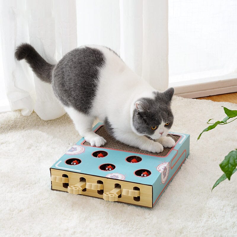 Cat Interactive Toy