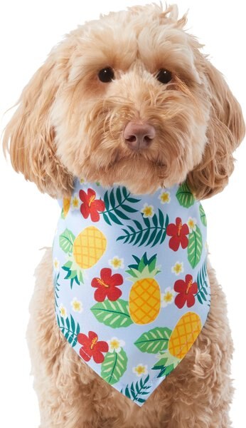 Frisco Hawaiian Pineapple Dog and Cat Bandana