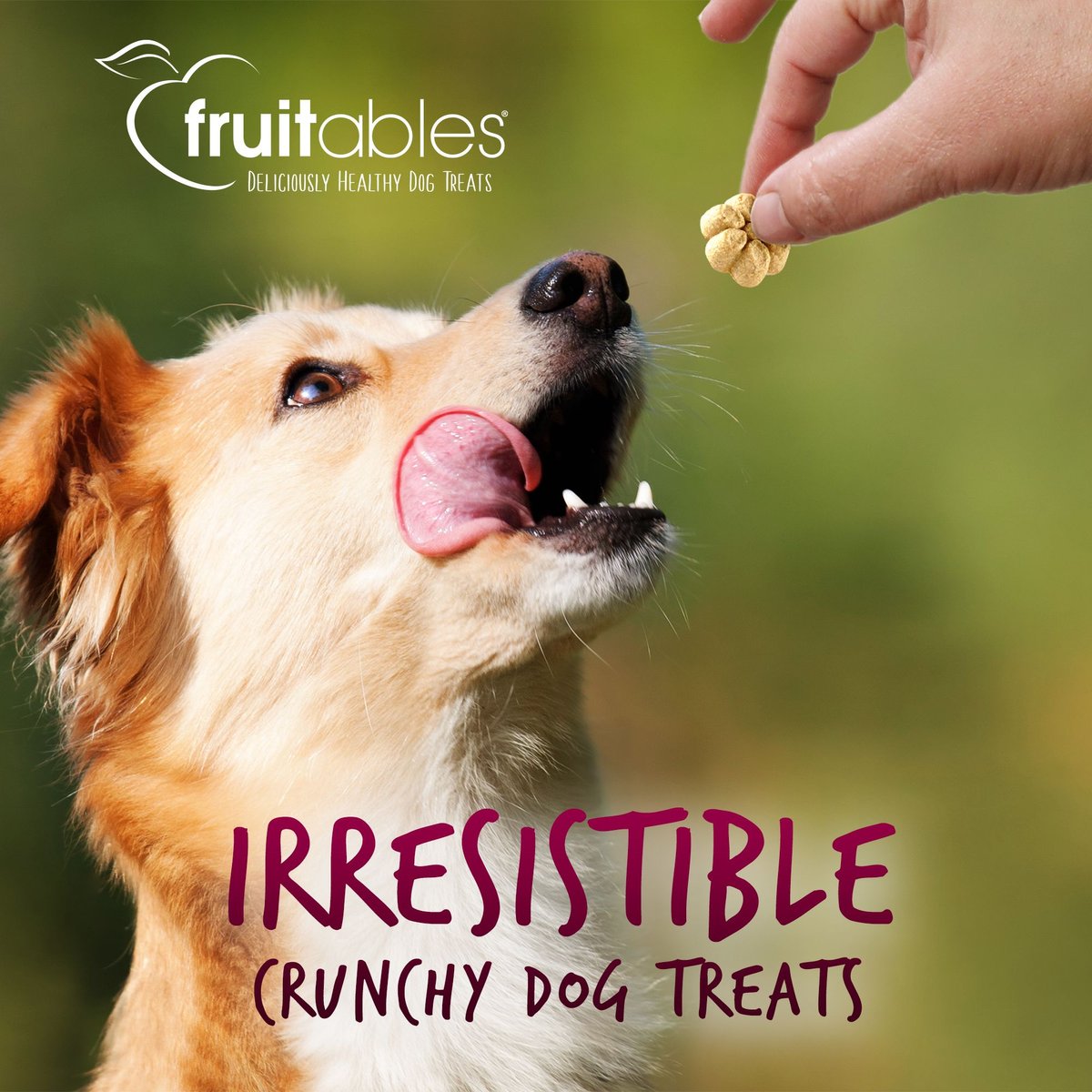 Fruitables Greek Coconut Yogurt Flavor Crunchy Dog Treats