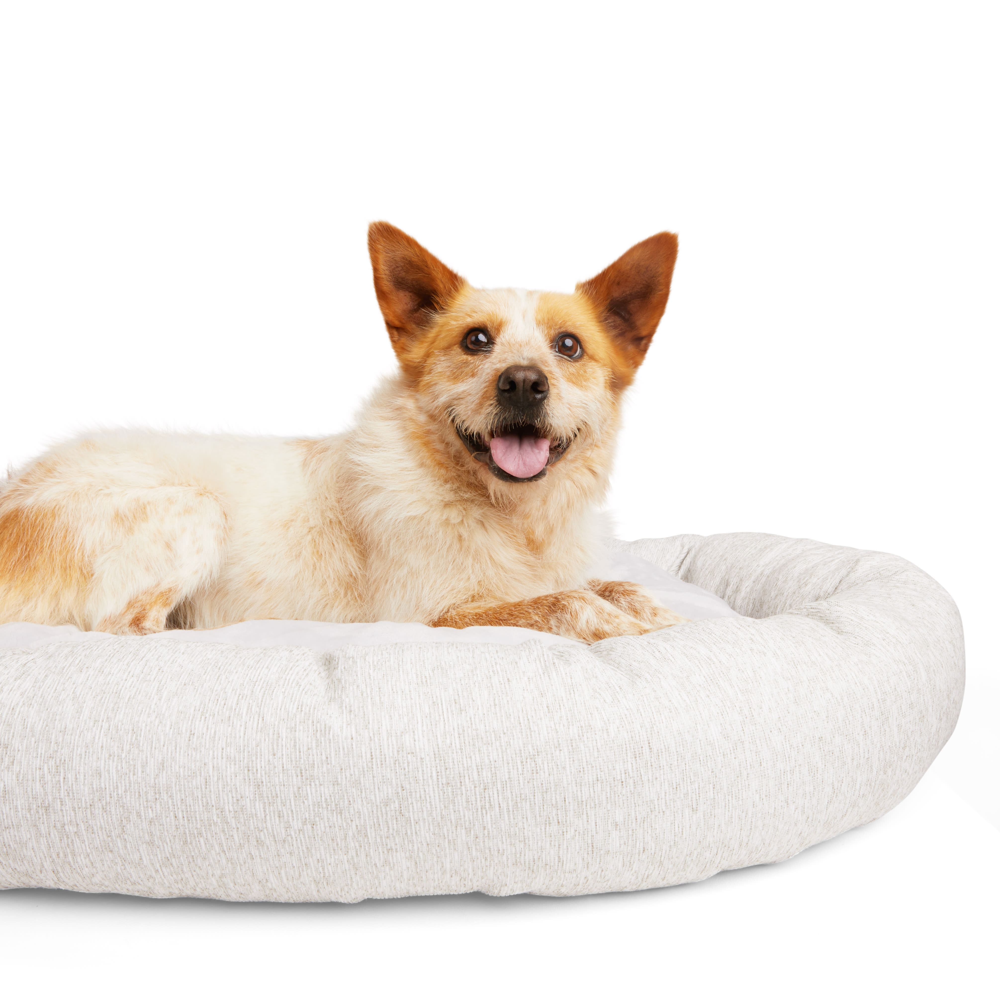 EveryYay Essentials Melange Oval Orthopedic Dog Bed， 40