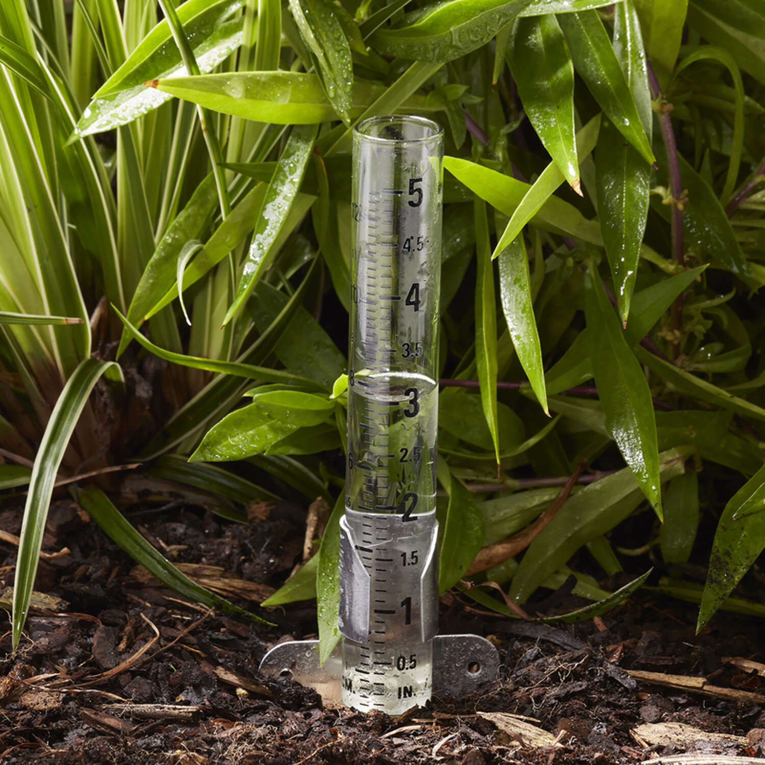 Taylor Rain Gauge Ground 0.9 in. W X 5.5 in. L