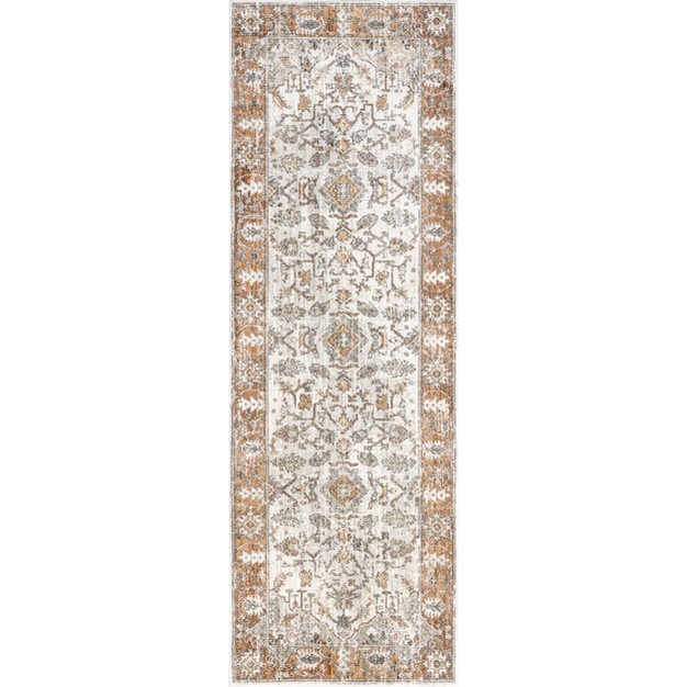 Leanne Traditional Faded Fringe Area Rug