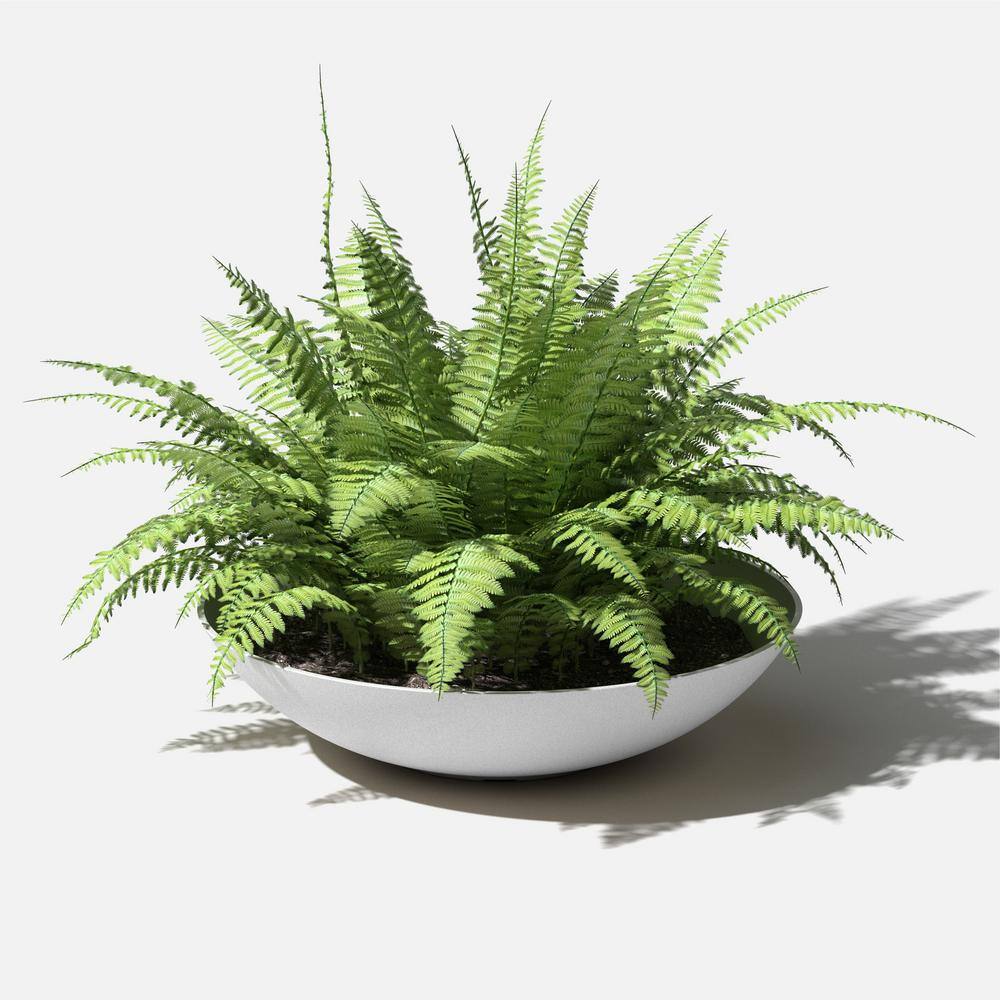 Veradek Lane Bowl 32 in. White Plastic Round Planter LBV32W