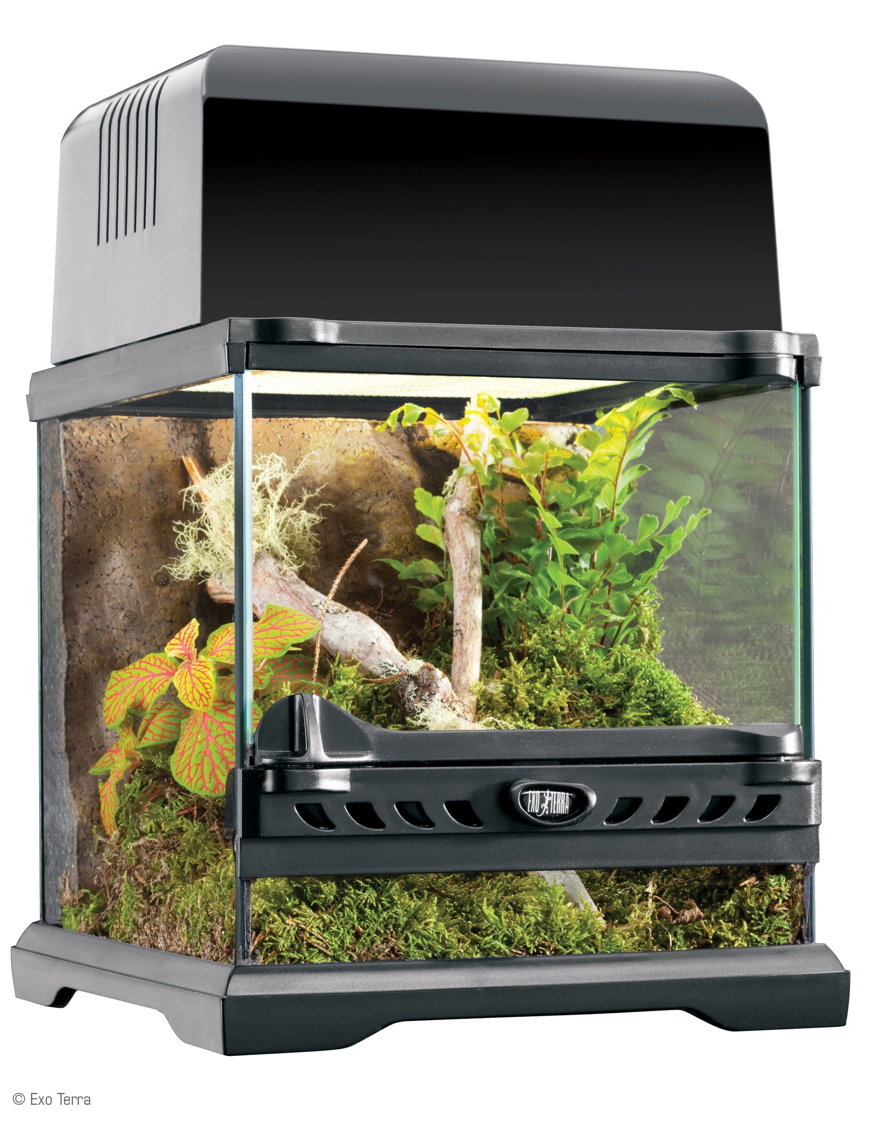 Exo Terra Nano Glass Terrarium Reptile Habitat - 8in x 8in x 8in