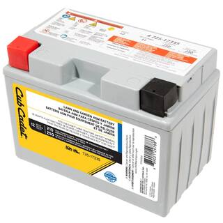 Cub Cadet Replacement 12-Volt 11 Ah 210 CCA Sealed AGM Riding Lawn Mower Battery 725P17335