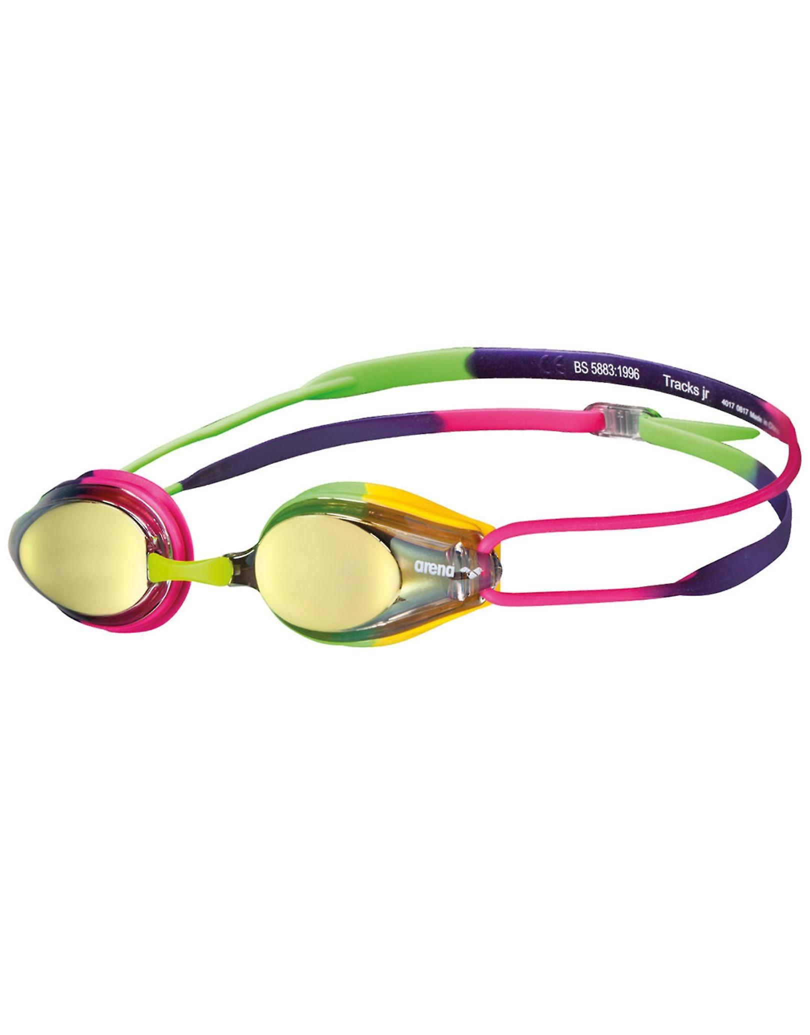 Arena Tracks Junior Mirror Goggle