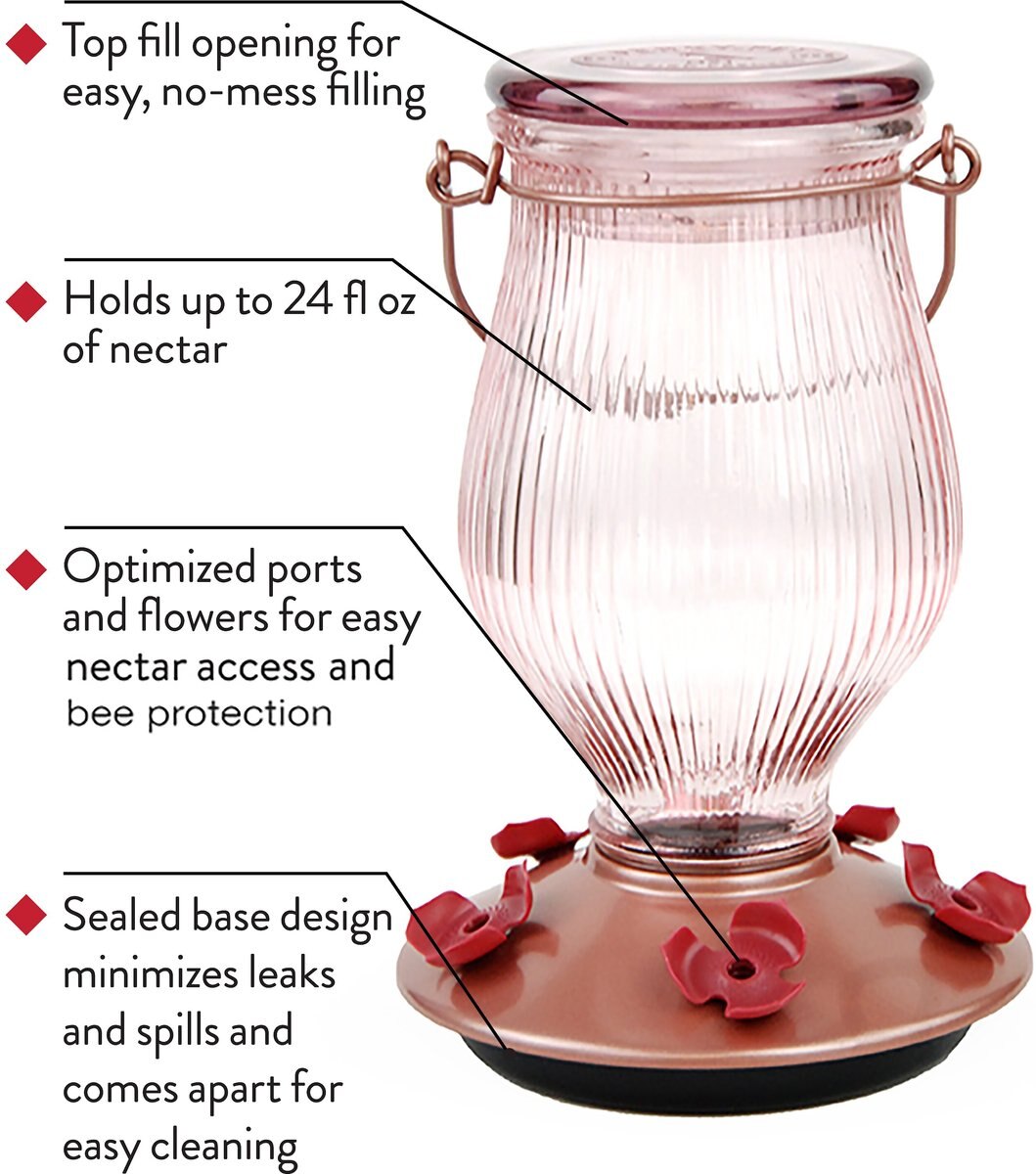 Perky-Pet Rose Gold Top-Fill Glass Hummingbird Feeder