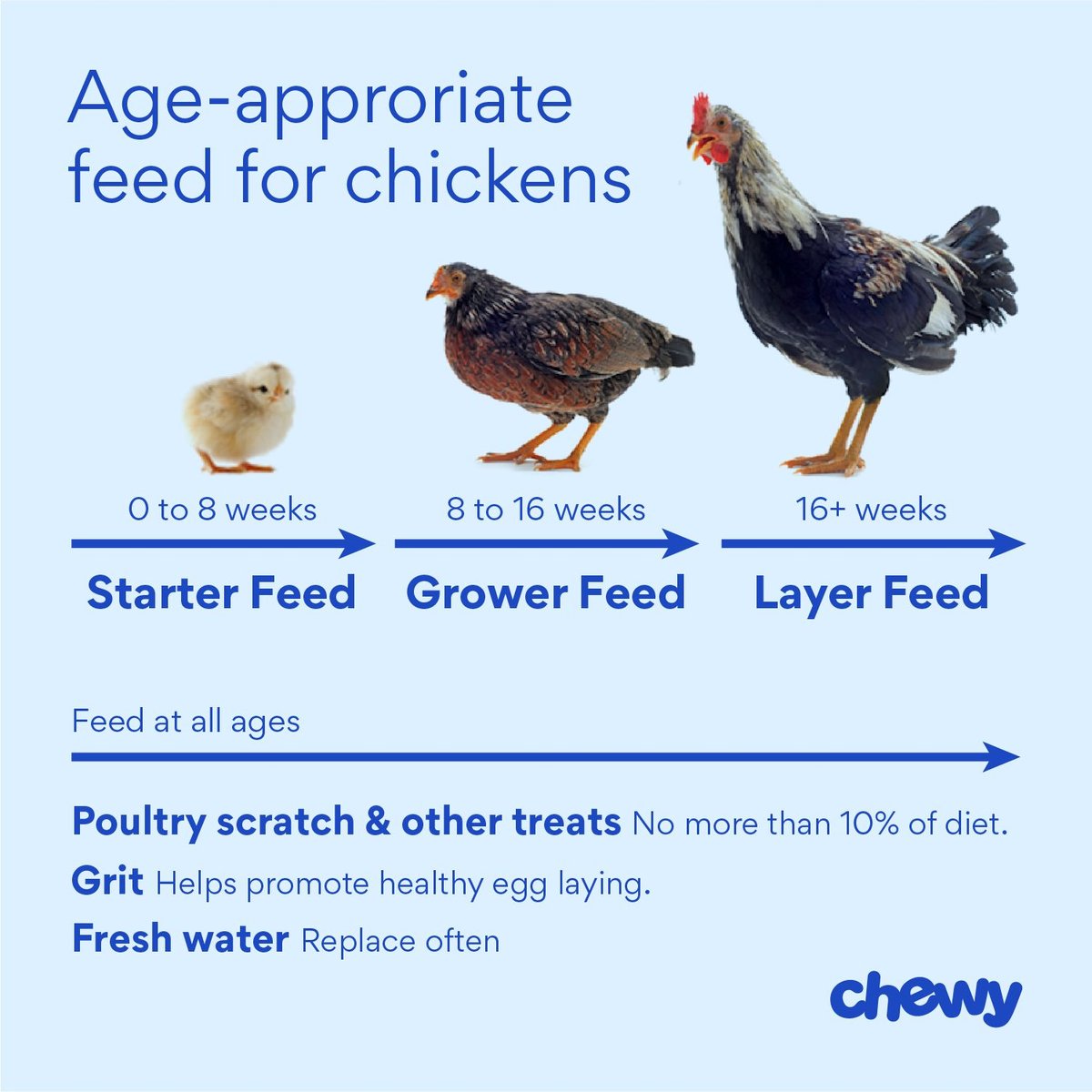 Modesto Milling Organic， Non-Soy Chick Starter and Grower Crumbles Poultry Feed