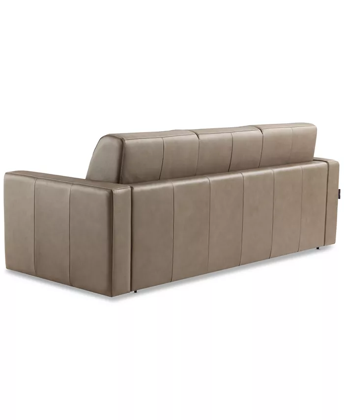 Furniture Shevrin Leather Sleeper Sofa