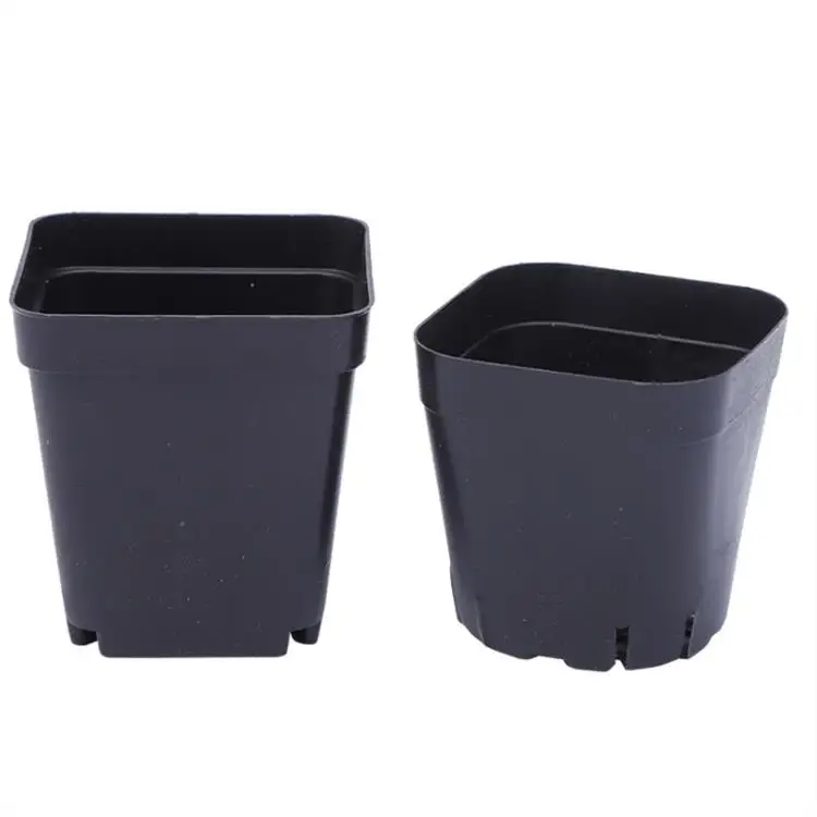 Planters  Succulent Pot without Plates for Bonsai   Horticultural supplies   black Plastic square flowerpot