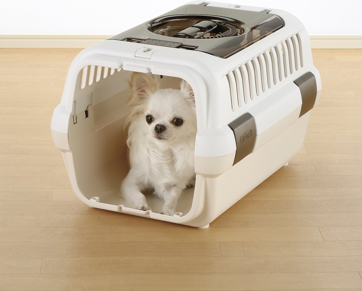 Richell Double Door Dog and Cat Carrier