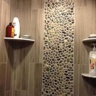 Rain Forest 12 in. x 12 in. Mixed Mid-Polish Pebble Stone Floor and Wall Tile (5.0 sq. ft.  case) PT-MPMIX