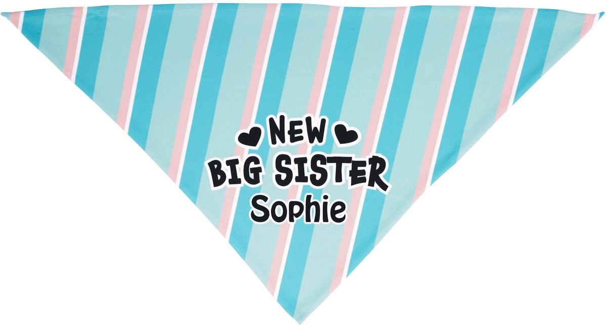 Frisco Big Sister Personalized Dog and Cat Bandana