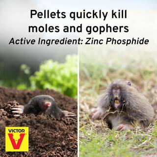 Victor 6 oz. Mole and Gopher Poison Peanuts M6006