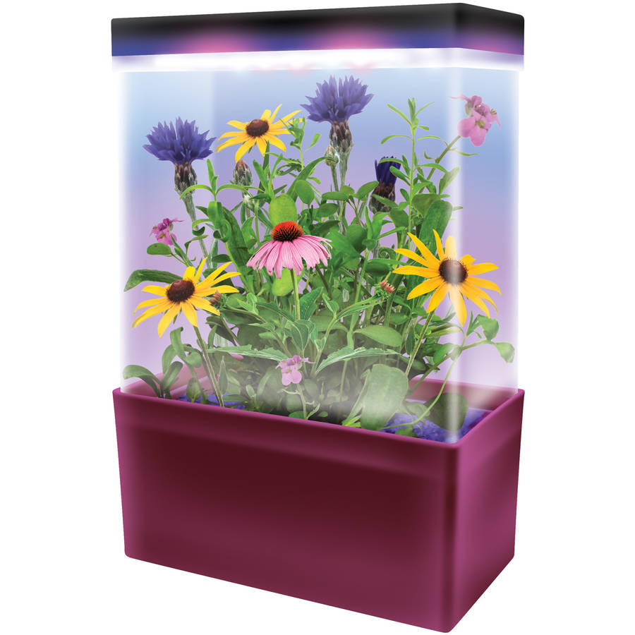 LED Light Cube Terrarium， Mini-Meadow