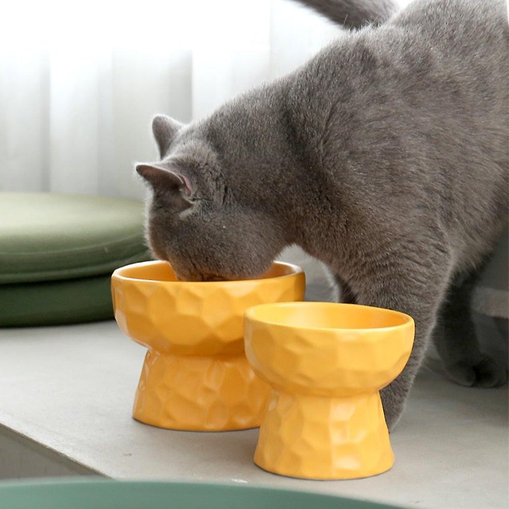 Ceramic raised stand pet bowl