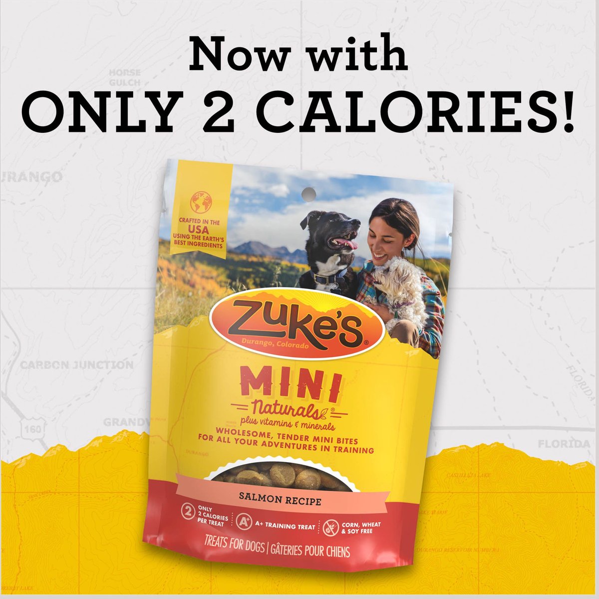 Zuke's Mini Naturals Salmon Recipe Training Dog Treats