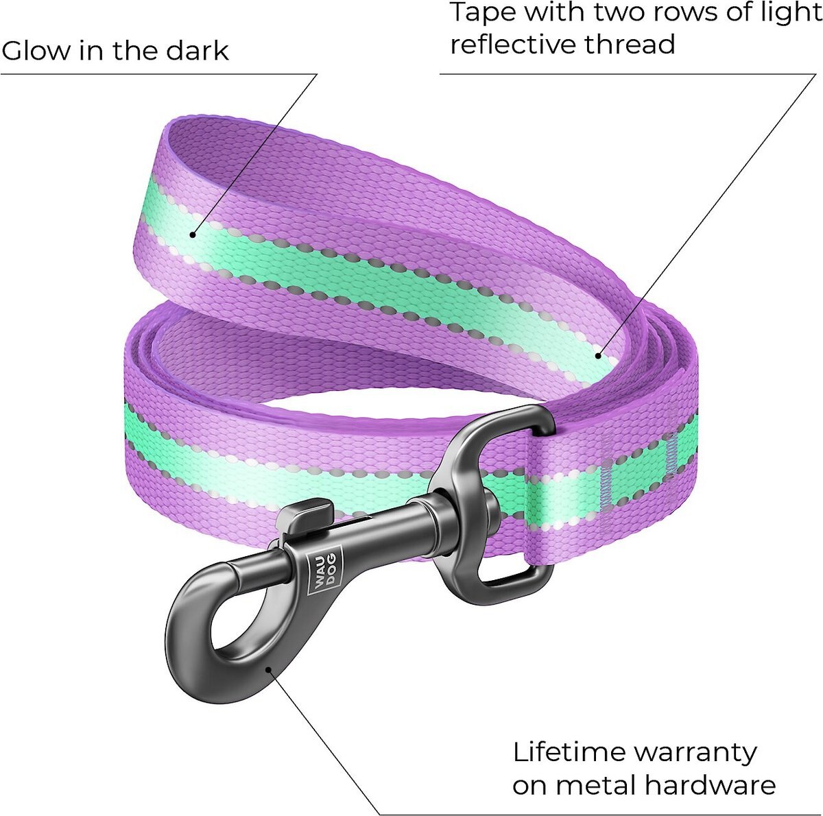 WAUDOG Glow in the Dark Nylon Dog Leash