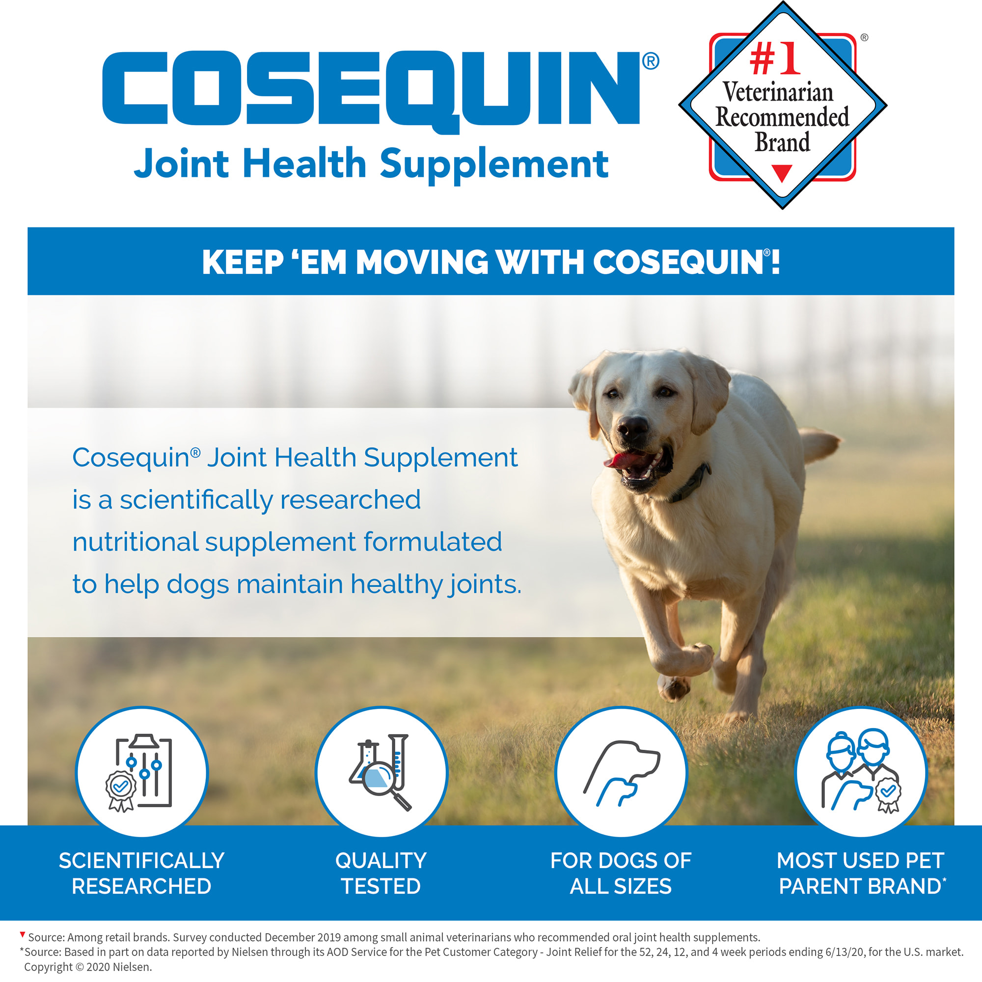 NUTRAMAX COSEQUIN DS Maximum Strength Plus MSM  Omega-3s Chewable Tablets for Dogs， Count of 120