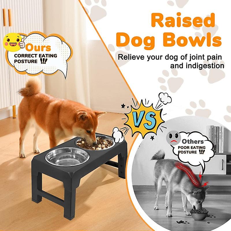 4 Heights stainless steel raised dog bowl