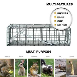 HOMESTEAD Small 1-Door Professional Humane Steel Live Animal Cage Trap for Squirrels Rabbits Chipmunks Skunks Rats and Weasels 410-344-0111