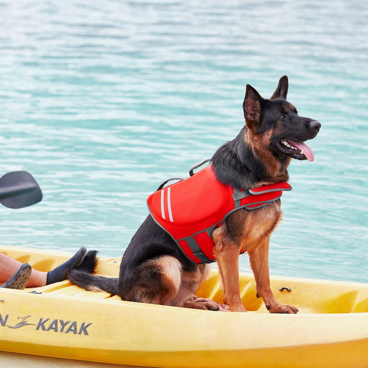 Frisco Neoprene Dog Life Jacket