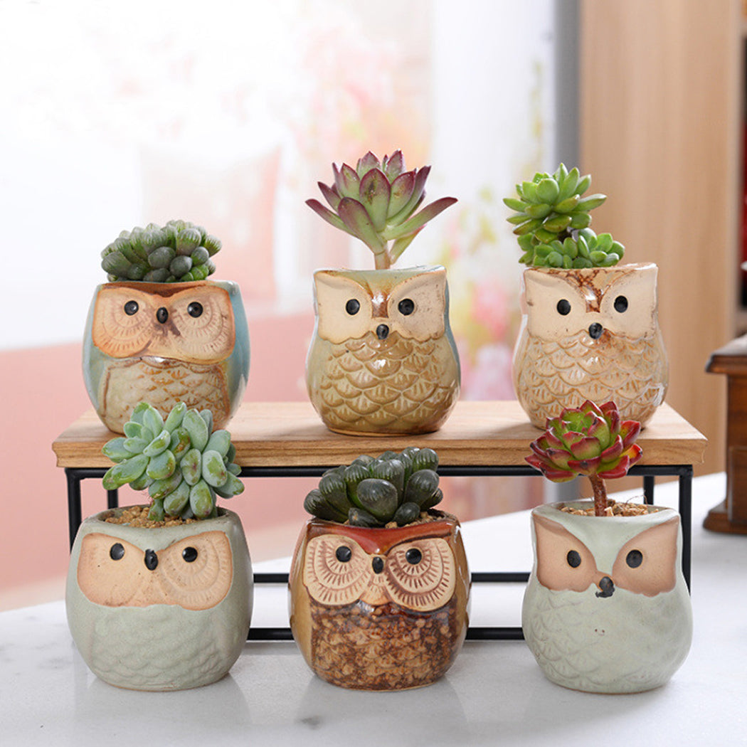 2CFUN 2.5 Inch Owl Ceramic Succulent Plants Pots Pack of 6