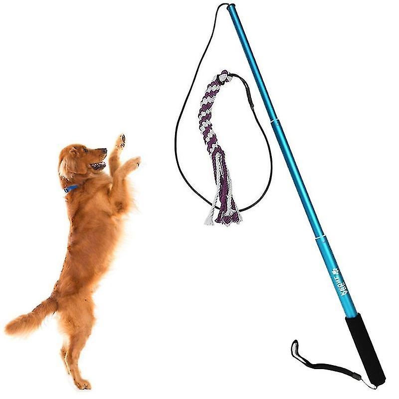 Miman Pets Toys Interactive Extendable Flirt Pole Funny Chasing Tail Teaser And Exerciser For Dogs Interactive-blue(s)