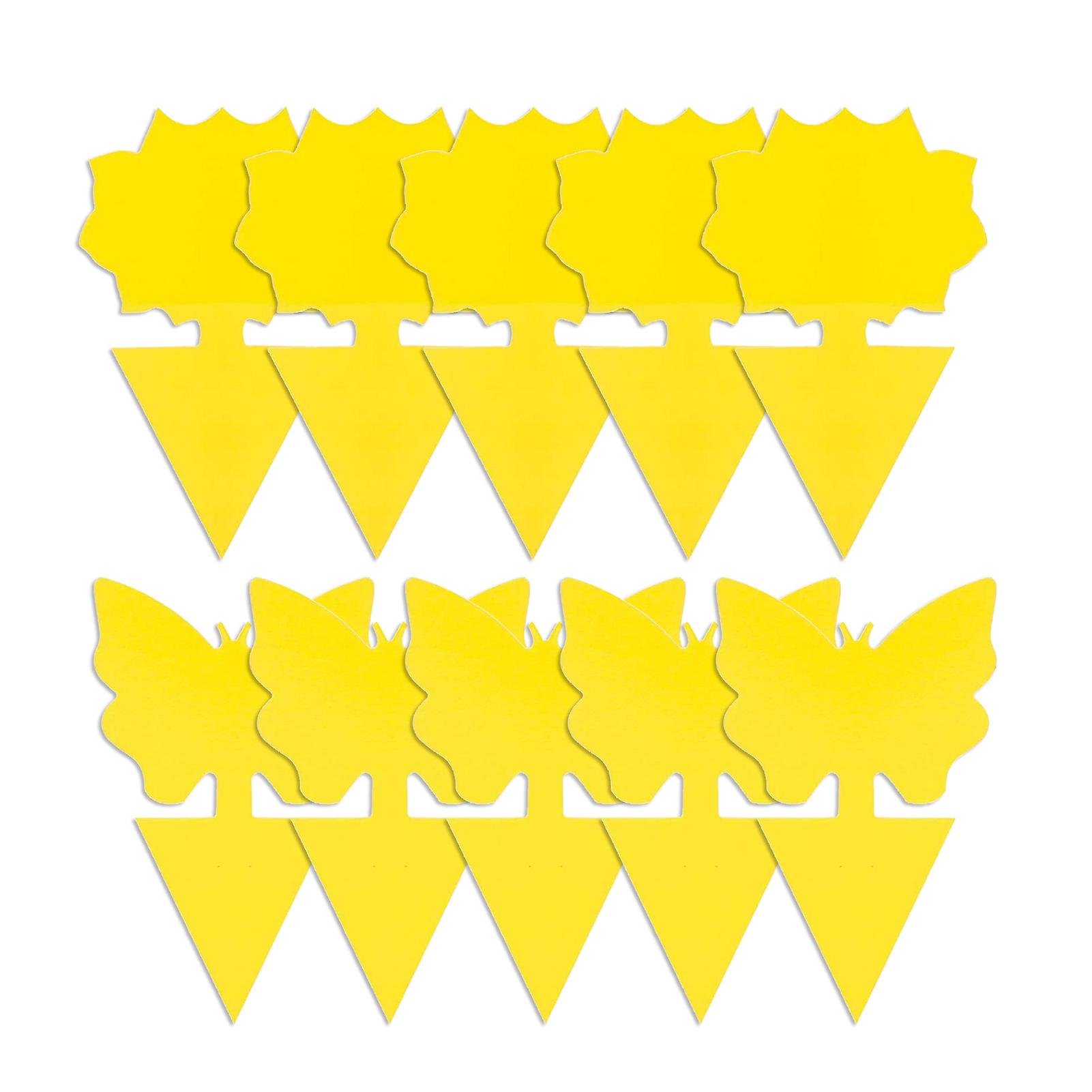 10 Pcs Fungus Gnat Traps，