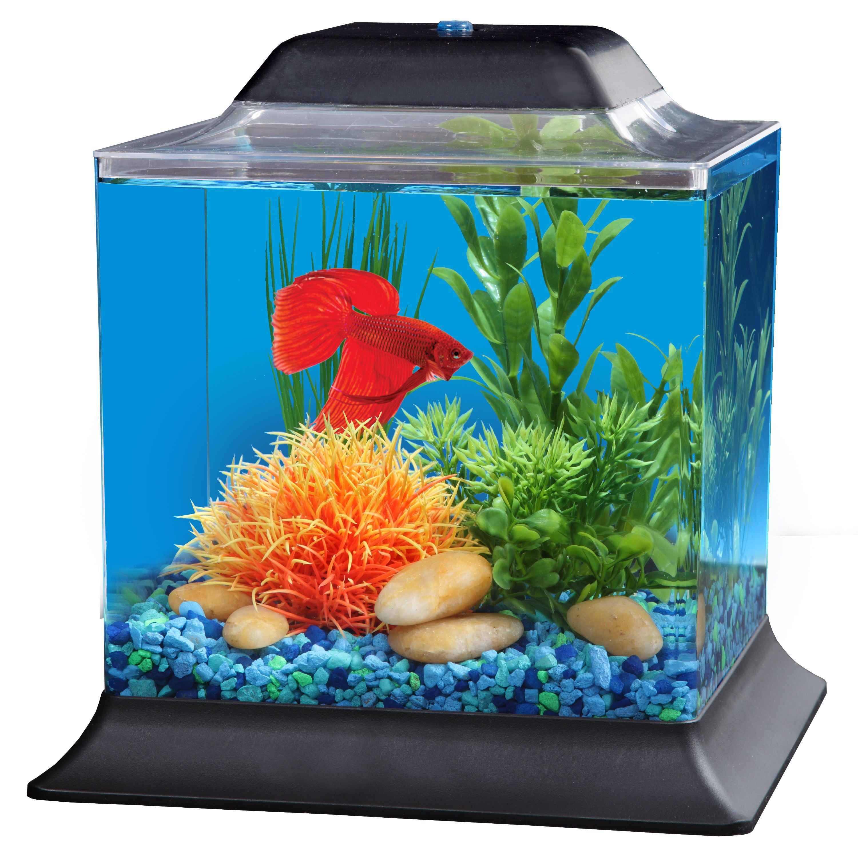 KollerCraft 1.5-Gallon Betta Fish Aquarium Kit