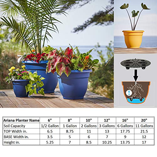 Bloem (#20-56312CH) Ariana Planter with Self-Watering Disk, Chocolate - 12