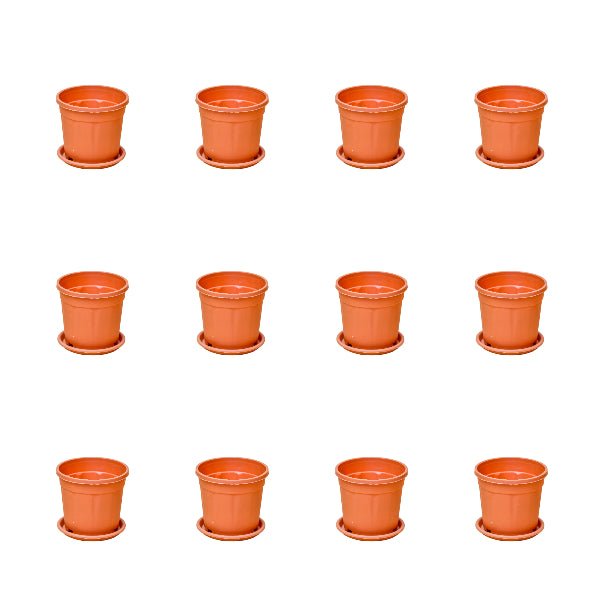 3 inch (8 cm) Grower Round Plastic Pot