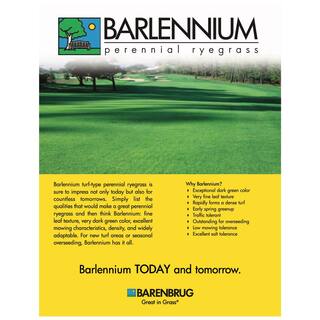 Barenbrug 50 lbs. Barlennium Perennial Ryegrass Seed 12196