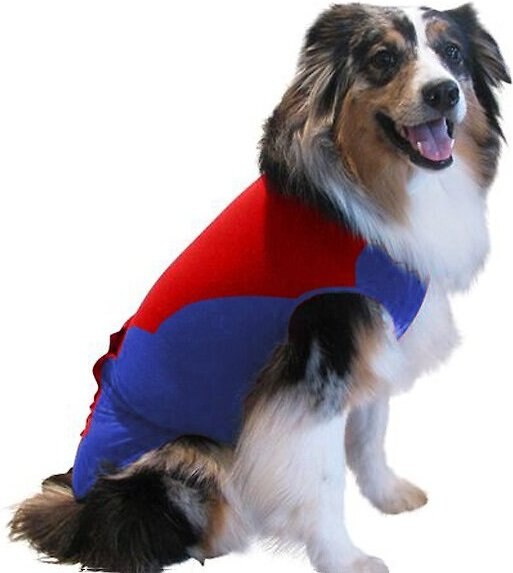 Surgi Snuggly Wonder Suit Post Surgical Healing Dog Suit