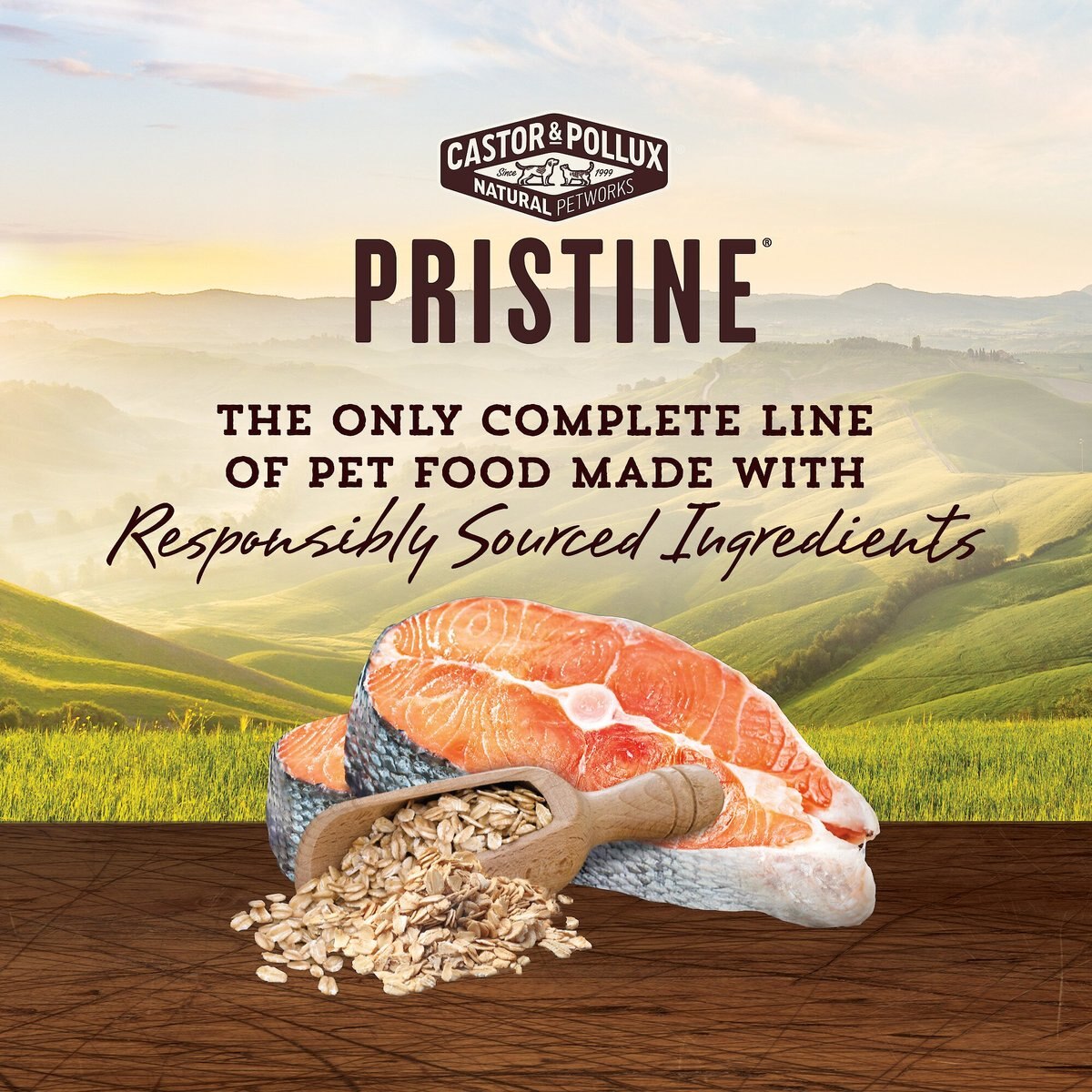 Castor and Pollux Pristine Healthy Grains Wild-Caught Salmon and Oatmeal Recipe Dry Dog Food