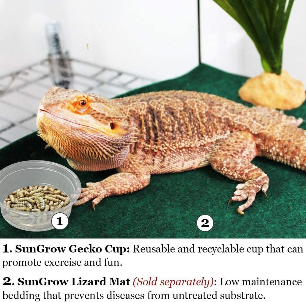 SunGrow Reptile Water Dish and Food Bowl， Lizard and Gecko Feeding Ledge Cups， 0.5-oz， 100 count