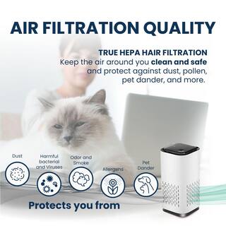 Mini HEPA Portable Air Purifier KIKIAP21A1W